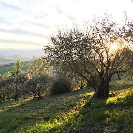 Casa Cambrogiano * Matelica